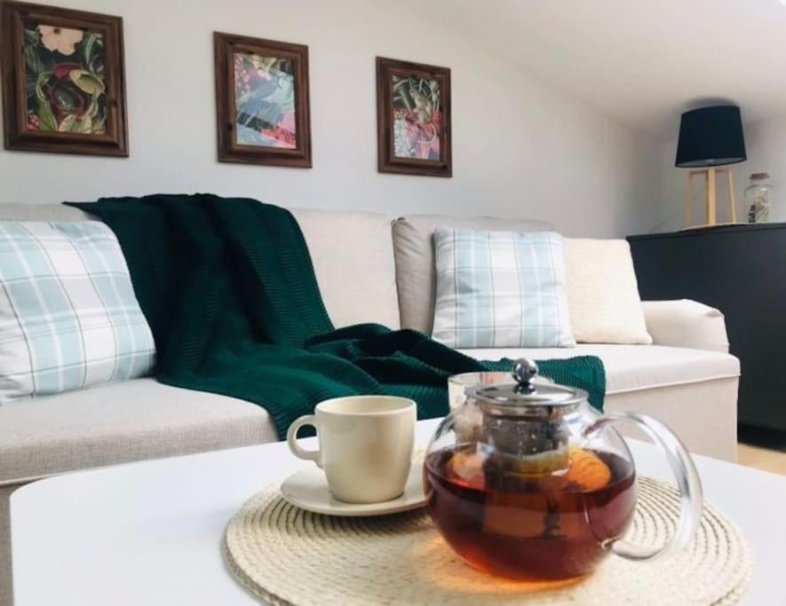 Qwadrat Apartament 15 In Bielsko-Biala City Center エクステリア 写真